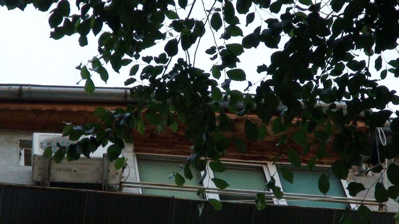 Studio French Embassy, Amzei Historic Center ブカレスト エクステリア 写真